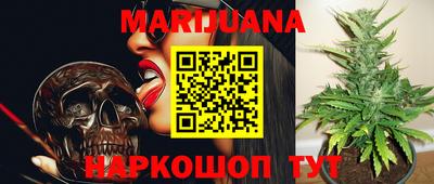гашик Бузулук