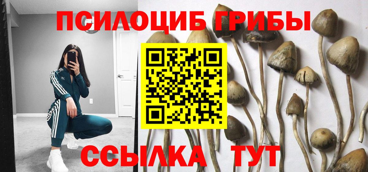 Нефтекамск  Галлюциногенные грибы ЛСД  Вход с VPN  Псилоцибиновые грибы Magic Shrooms 