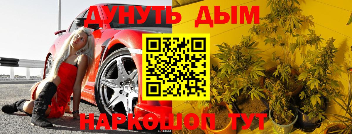 Шишки марихуана семена Нефтекамск
